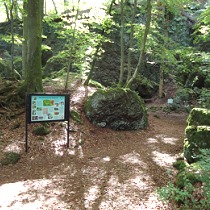 IJsgrotten