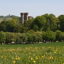 Adler- und Wolfspark Kasselburg